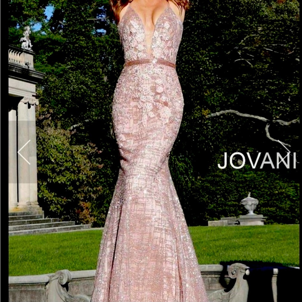 Jovani Rose Gold Embroidered Crystal Evening Gown
